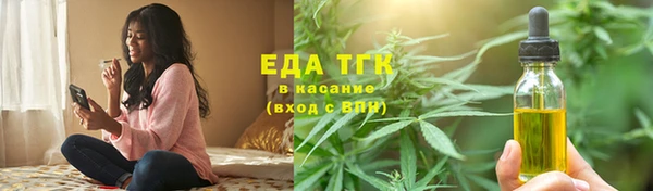 индика Бердск