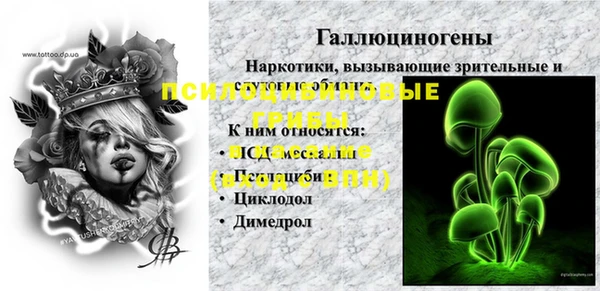 МДМА Медвежьегорск