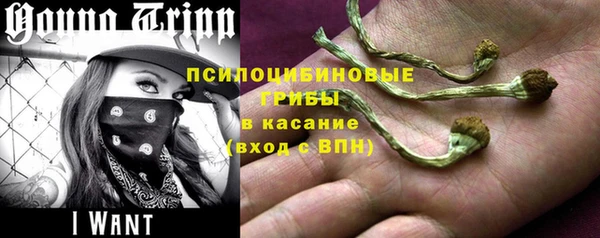 прущие грибы Мегион