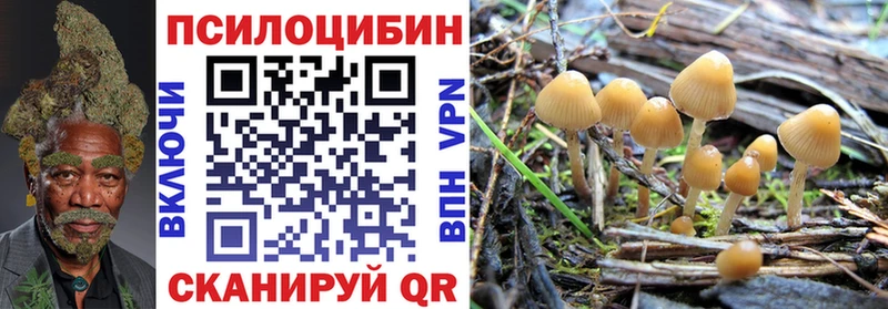 Псилоцибиновые грибы Psilocybine cubensis  blacksprut   Инза 